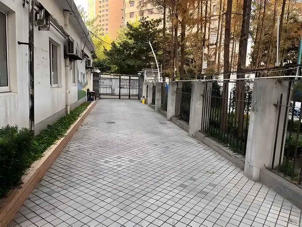 名门大少：后院穿来个恶主母！